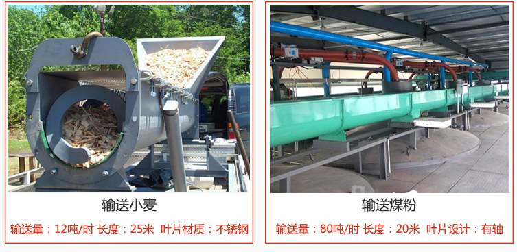 絞龍螺旋輸送機輸送小麥輸送量在12噸/時，長度為25米，葉片采用不銹鋼材質(zhì)；輸送水泥輸送量在80噸/時，長度為20米，葉片設計為有軸。